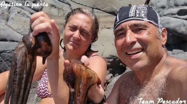 Pesca sub Alicudi Eolie 2 giorno di vacanza un sogno da cui non ci si vorrebbe svegliare più 💯💯💯
