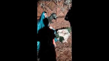 Arrisbigghiati Pasturi: Intro al Presepe vivente dei Cantori Popolari delle Eolie (26 dicembre 2022)