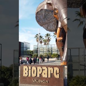 BIOPARC VALENCIA 🇪🇸 #españa #bioparc #valencia #travel