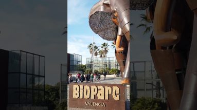 BIOPARC VALENCIA 🇪🇸 #españa #bioparc #valencia #travel