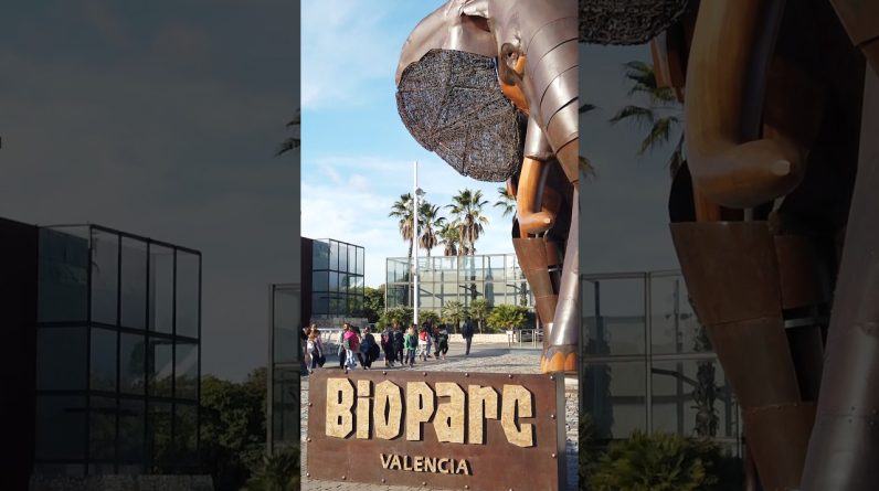 BIOPARC VALENCIA 🇪🇸 #españa #bioparc #valencia #travel